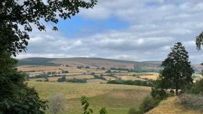 Plot with PP for sale in Harpton photo